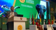 Brasil vai sediar Congresso Internacional de Educação Ambiental, em 2025